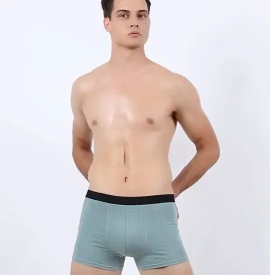 2022 Venta al por mayor de ropa interior de algodón peinado para hombres, calzoncillos tipo bóxer, suspensorios sexys, fabricante